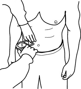 3 Site Skinfold Chart