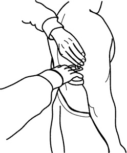 Metacal Body Fat Caliper Chart